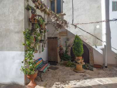 ...e dopo pochi metri arriviamo al civico 9. � l�ingresso del laboratorio di Mino, abbellito da una variopinta panchina e qualche pianta